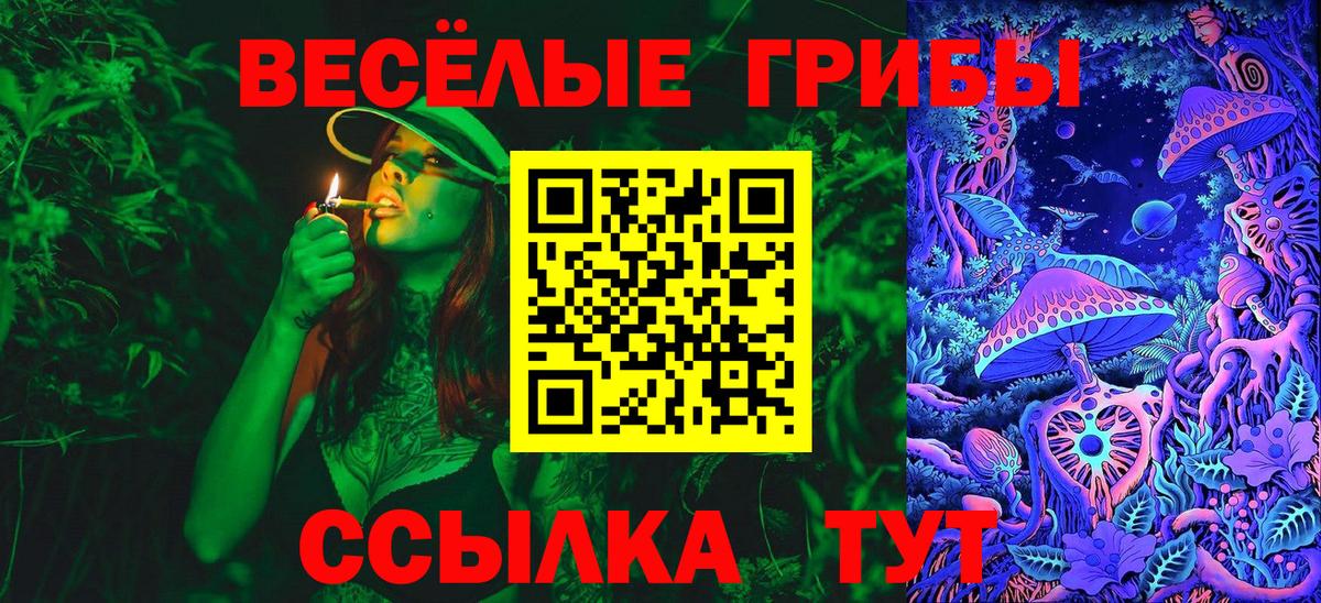 Семилуки  Галлюциногенные грибы Psilocybine cubensis  Вход с VPN  Псилоцибиновые грибы GOLDEN TEACHER 